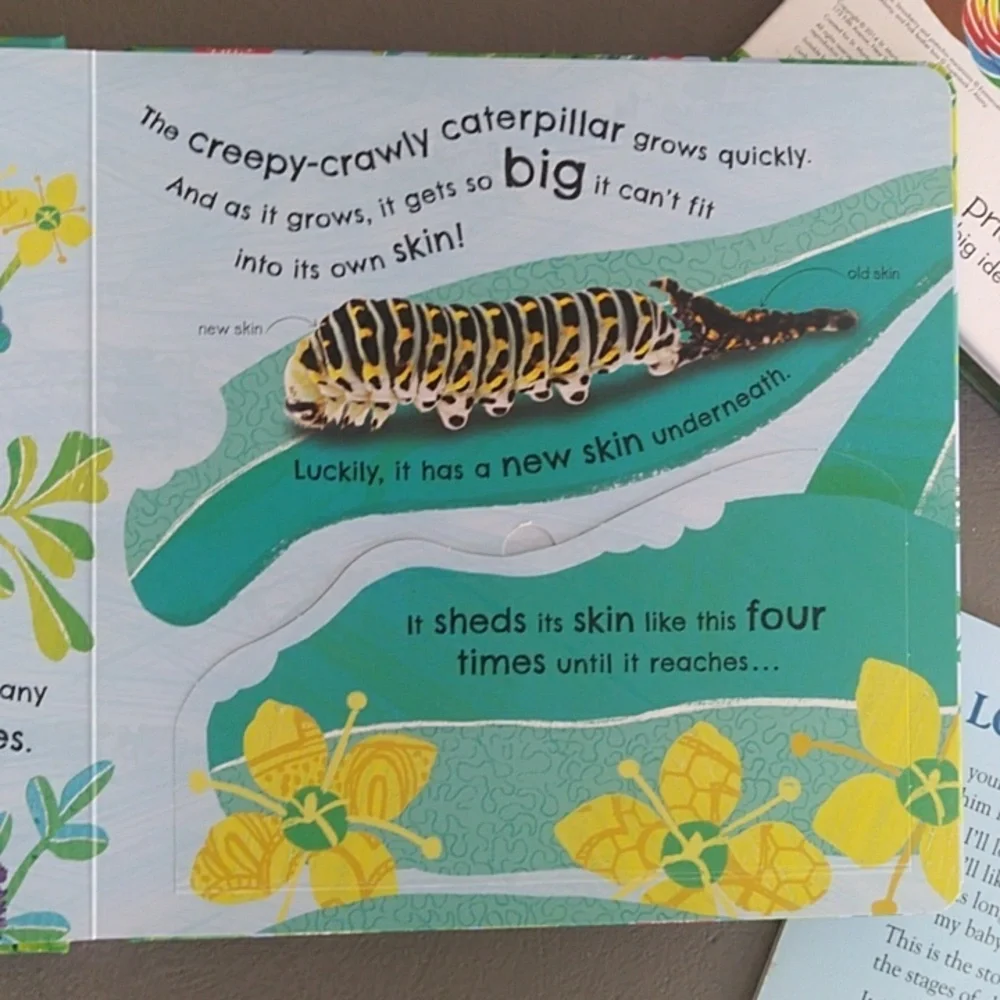 123 Alphaprints, How Does a Butterfly Grow & I Love You Forever Baby Boo…